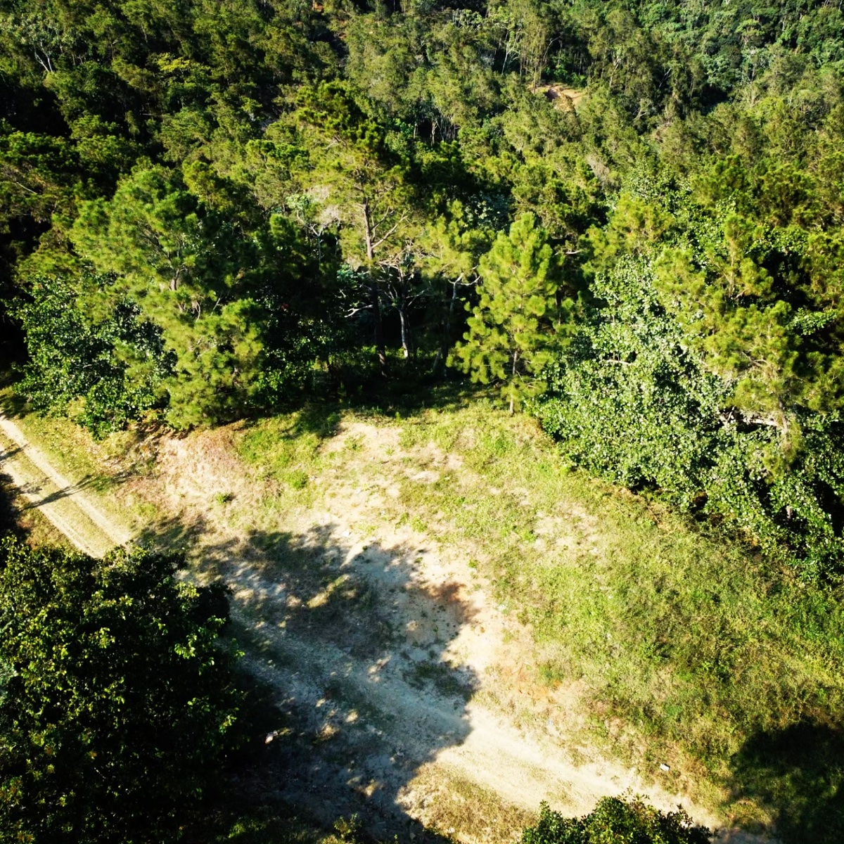 Lot in Jarabacoa